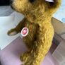 Collectable Teddy Image 6