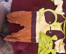 Halloween Costume - Baby Shrek