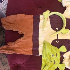 Halloween Costume - Baby Shrek