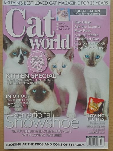 Cat World