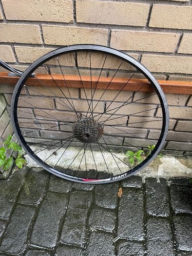 bike wheels and tyres