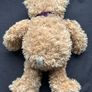 Warm and Cosy Bear Image 3