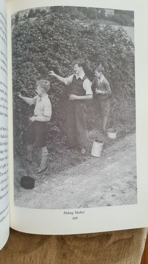 All Our Yesterday's. By Declan Hassett. Hardback With Dustjacket In Good Condition.