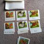Montessori Matching Exercises Image 2
