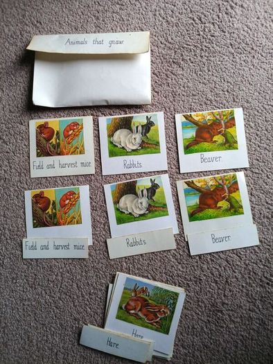 Montessori Matching Exercises