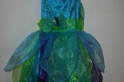 New  Fairy dress