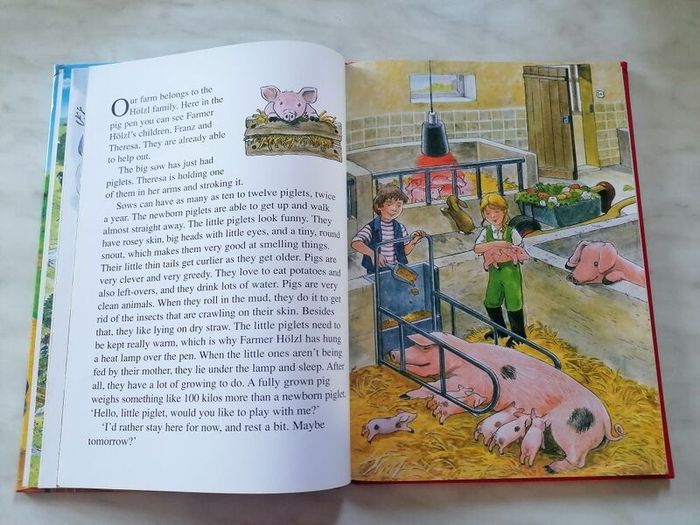 Children Book - Farmyard Stories