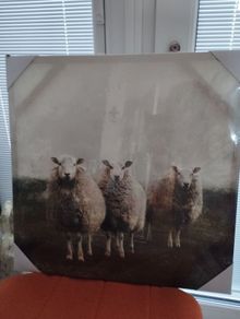 Wall Art bnwts
