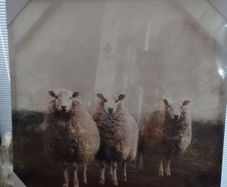 Wall Art bnwts
