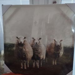Wall Art bnwts