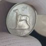 1966 specimen coin set Image 5