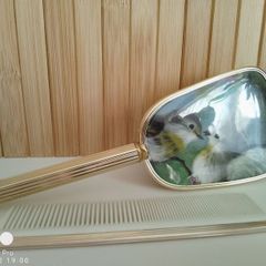 Vintage Gold Tone Hairbrush  Comb Set Painted Bird Design