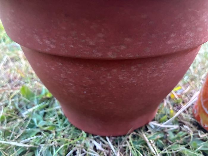 Plastic flower pot