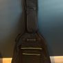12 string Image 2