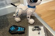 robot dog