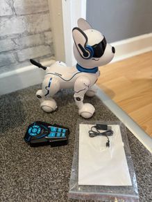 robot dog