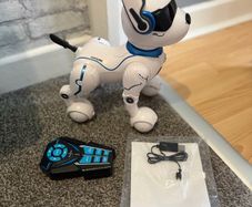 robot dog