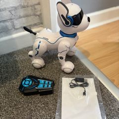 robot dog