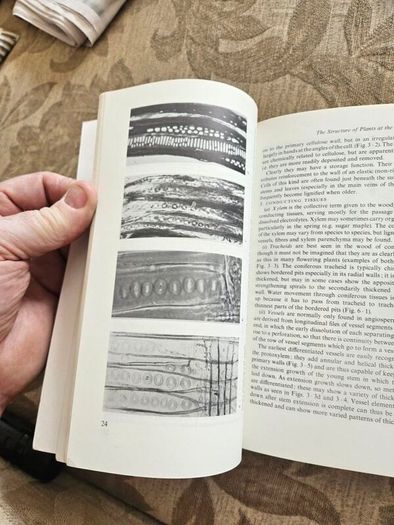 The Working Plant. By D.a. Coult. 1977 Paperback In Good Condition. See Photos For Same.
