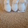 3 Pack of Easter Bunnies Image 3