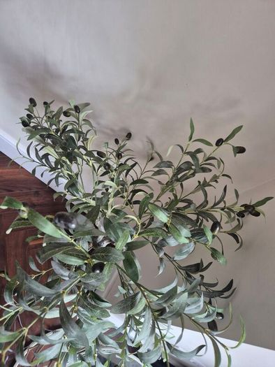 Faux Olive tre