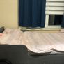 bed Image 2