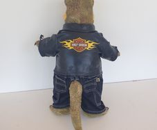 Build a bear dinosaur harley davidson jacket