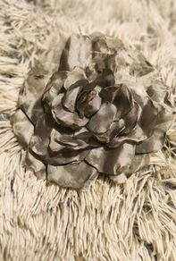 Soft Grey Flower hair clip Elegant & Versatile