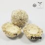 PrimePore 500ml ceramic filter material Image 4