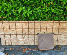 steel mesh