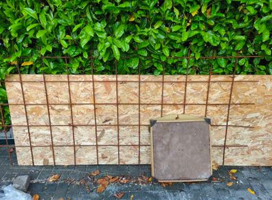 steel mesh