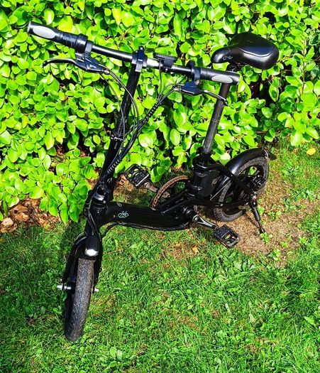 Fiido D3 Electric bike
