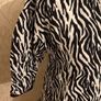 Zara Dress small /medium Image 3