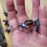Games Workshop Warhammer Age of Sigmar Deathrattle Skeletons Soulblight Gravelords Image 5