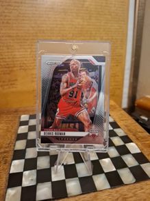Dennis Rodman (free Postage)