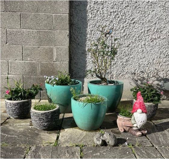 Large/Medium Glazed Earthenware Egg Flower Pot- 3 available