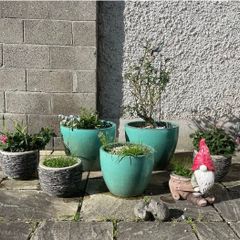 Large/Medium Glazed Earthenware Egg Flower Pot- 3 available