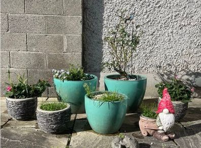 Large/Medium Glazed Earthenware Egg Flower Pot- 3 available