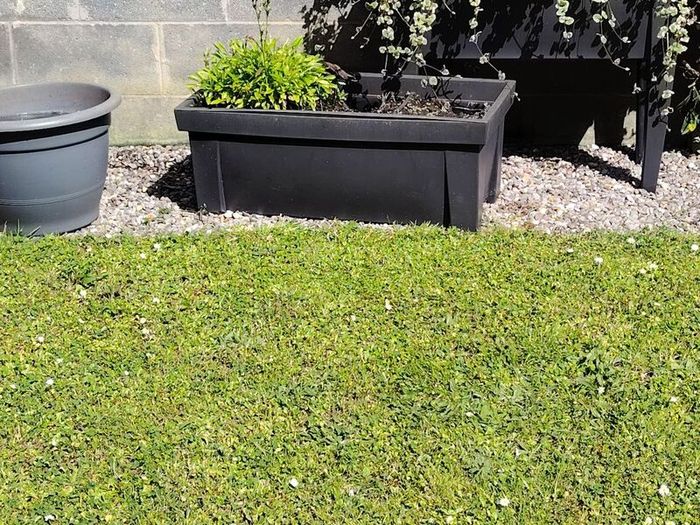Free Garden planters