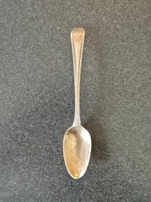 Silver Spoon