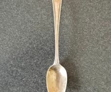 Silver Spoon