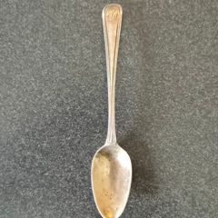 Silver Spoon