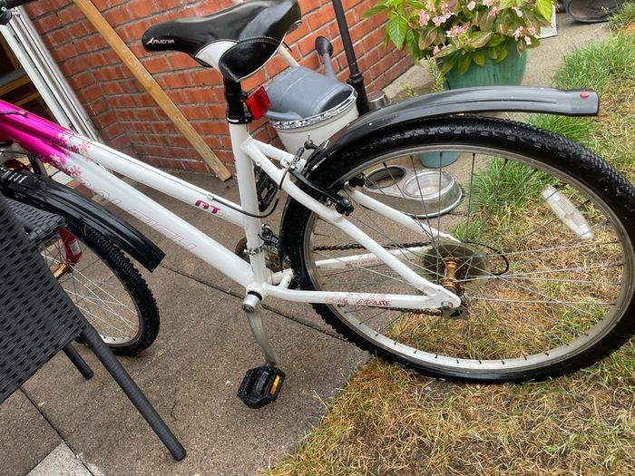 women's pink raleigh bike