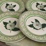 Set of 4 Royal Horticultural Society 11 inches  Dinner Plate Discontinued China Pattern Applebee Collection English China Green/White Excellent Condition Image 4