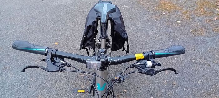 Ladies Bicycle Giant