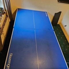 Ping Pong table