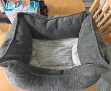 Puppy Items