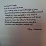 The Rage of Gain / Patrick Cleary / 1st ed. 1994 Image 7