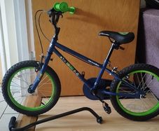 Perfect condition kept indoors Apollo 16" plus training bar