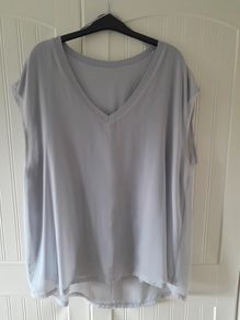 Sheer V Neck Grey Top